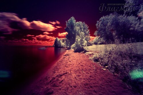 Берег весёлых Робинзонов 2017