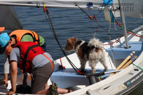 Берег весёлых Робинзонов 2017