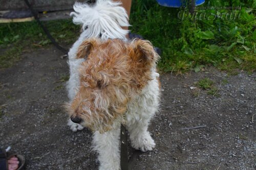 Берег весёлых Робинзонов 2017