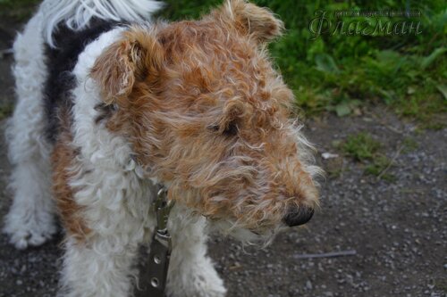 Берег весёлых Робинзонов 2017