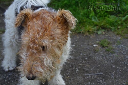 Берег весёлых Робинзонов 2017