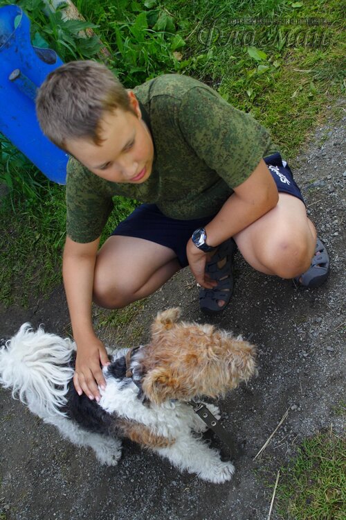 Берег весёлых Робинзонов 2017