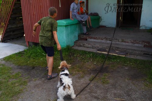 Берег весёлых Робинзонов 2017