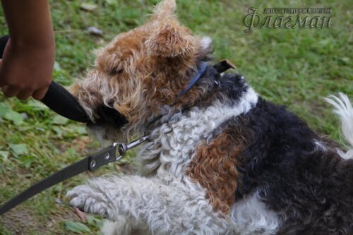 Берег весёлых Робинзонов 2017