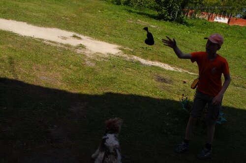 Берег весёлых Робинзонов 2017