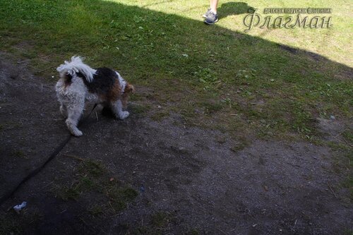 Берег весёлых Робинзонов 2017