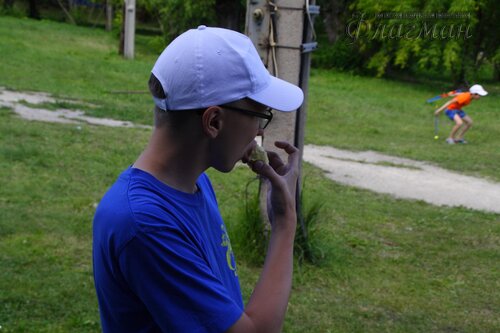 Берег весёлых Робинзонов 2017