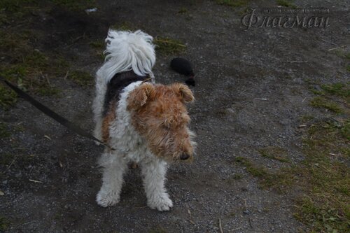 Берег весёлых Робинзонов 2017