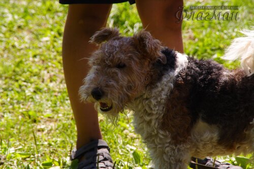 Берег весёлых Робинзонов 2017