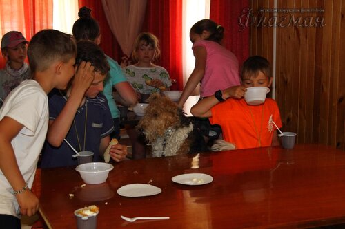 Берег весёлых Робинзонов 2017