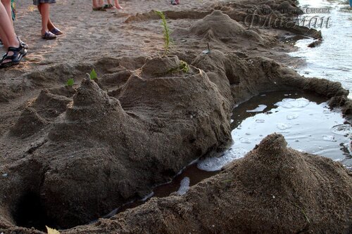 Берег весёлых Робинзонов 2017