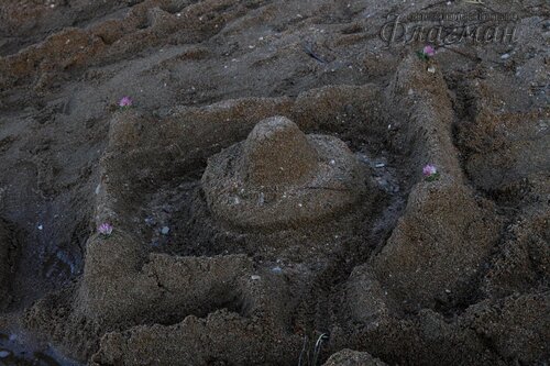 Берег весёлых Робинзонов 2017