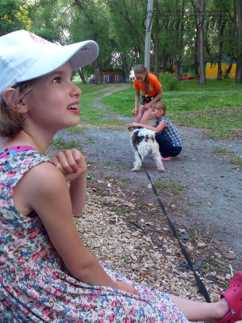 Берег весёлых Робинзонов 2017