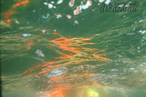 Берег весёлых Робинзонов 2017