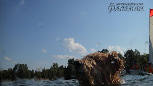 Берег весёлых Робинзонов 2017