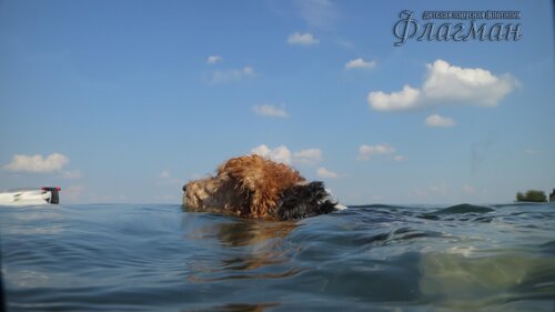 Берег весёлых Робинзонов 2017