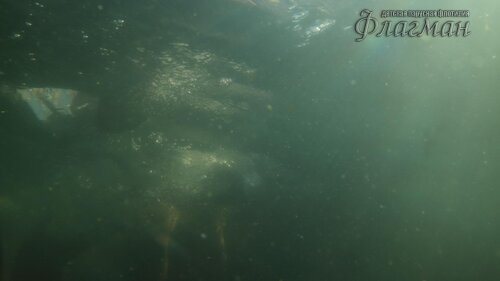 Берег весёлых Робинзонов 2017