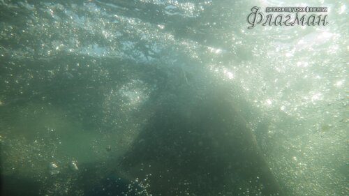 Берег весёлых Робинзонов 2017