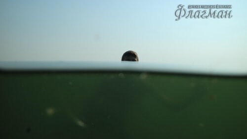 Берег весёлых Робинзонов 2017