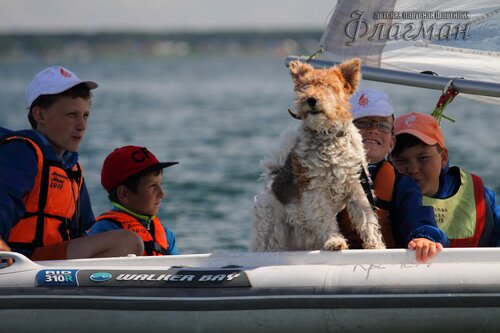 Берег весёлых Робинзонов 2017