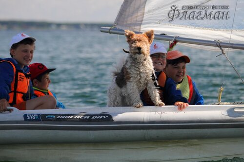 Берег весёлых Робинзонов 2017