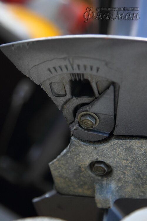 Берег весёлых Робинзонов 2017