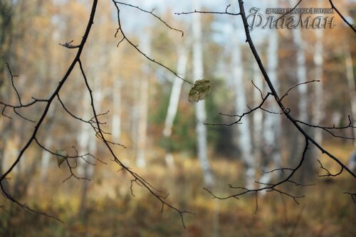 IMG_3736