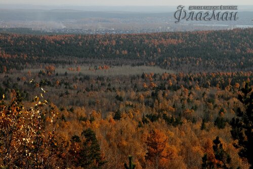 IMG_0913