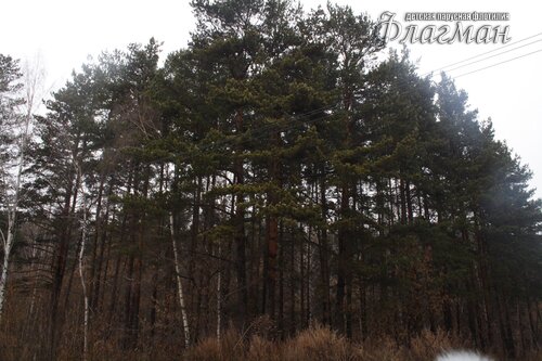 IMG_5356YE1A