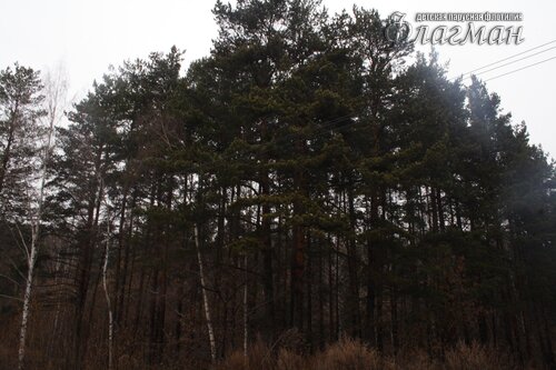 IMG_5357YE1A