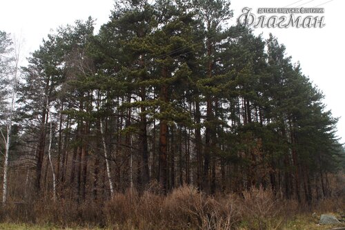 IMG_8024YE1A
