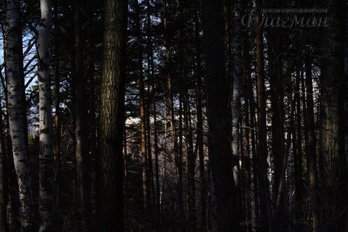 IMG_5806