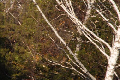 IMG_8648
