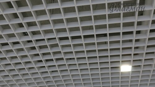 IMG_8846