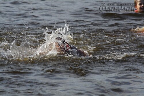 IMG_5299_f__r