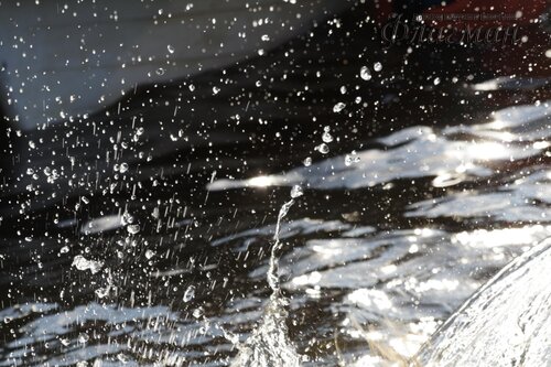 IMG_5357_f__r