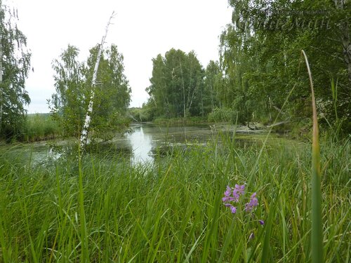 Берег весёлых Робинзонов 2018
