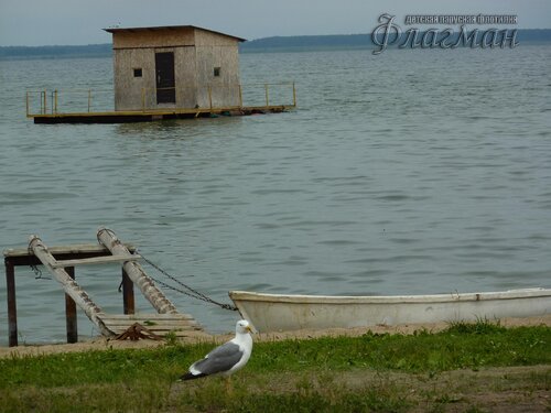 Берег весёлых Робинзонов 2018