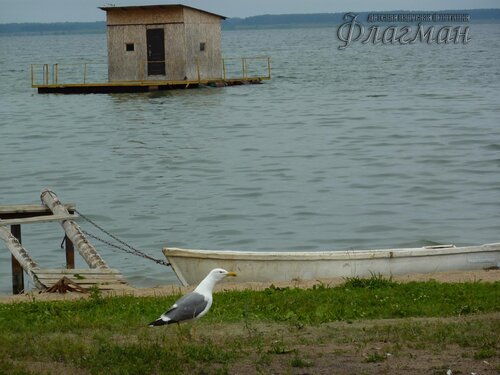 Берег весёлых Робинзонов 2018
