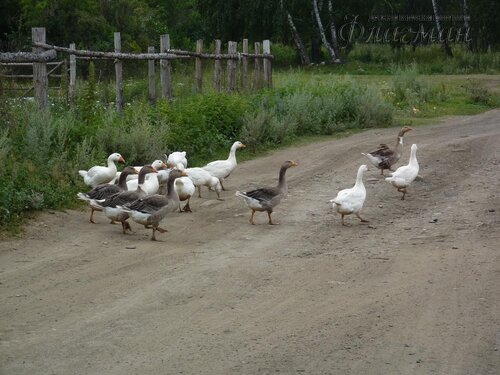 Берег весёлых Робинзонов 2018