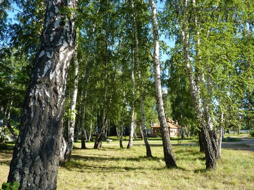 Берег весёлых Робинзонов 2018