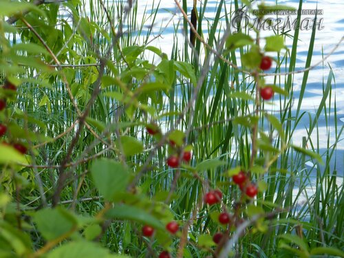 Берег весёлых Робинзонов 2018