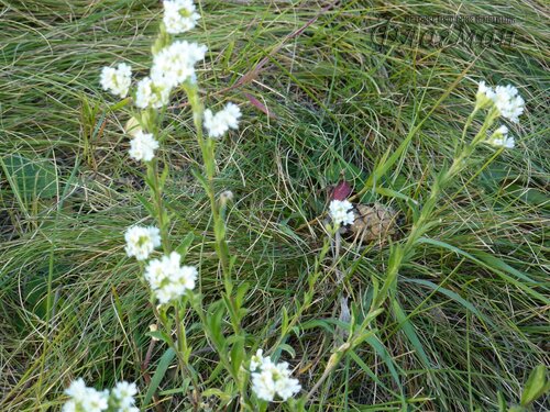 Берег весёлых Робинзонов 2018