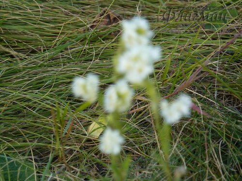 Берег весёлых Робинзонов 2018