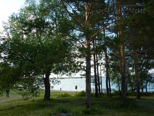 Берег весёлых Робинзонов 2018