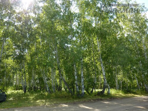 Берег весёлых Робинзонов 2018