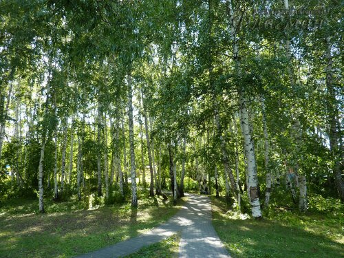 Берег весёлых Робинзонов 2018