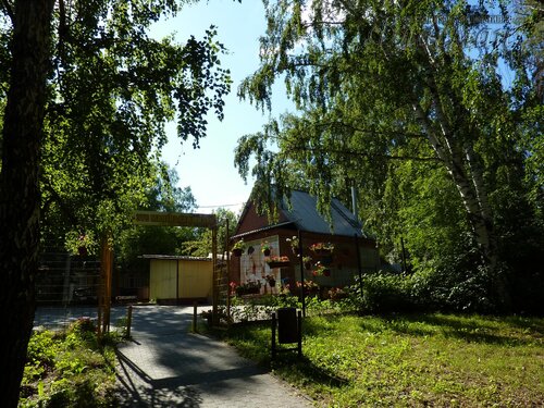 Берег весёлых Робинзонов 2018