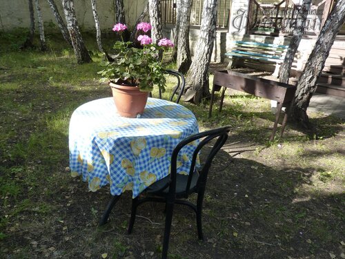 Берег весёлых Робинзонов 2018