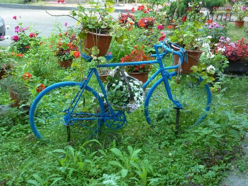 Берег весёлых Робинзонов 2018